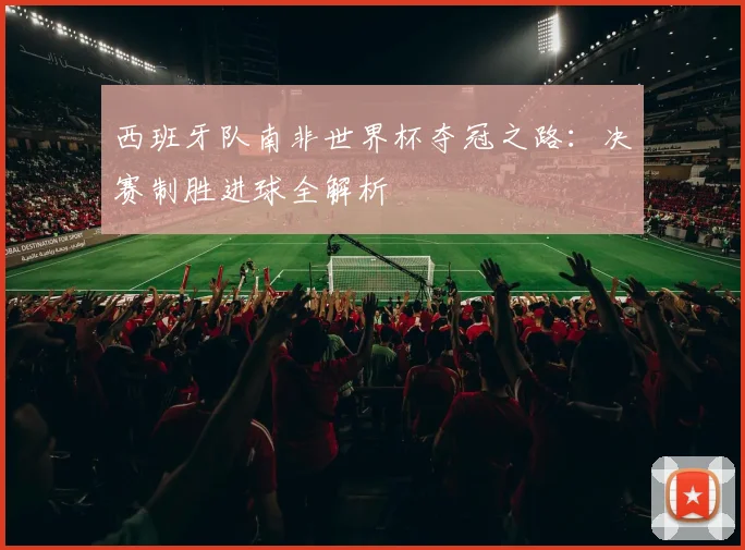 西班牙队南非世界杯夺冠之路：决赛制胜进球全解析