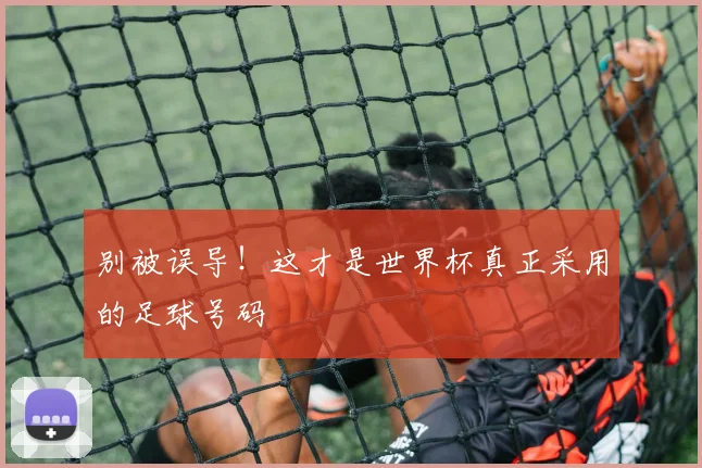 别被误导！这才是世界杯真正采用的足球号码