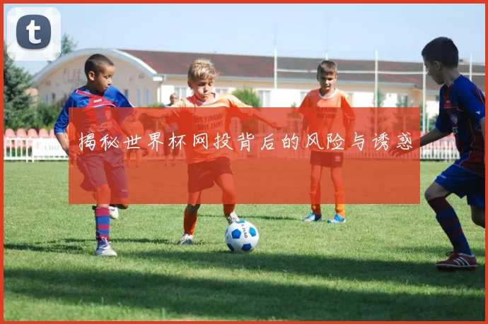 揭秘世界杯网投背后的风险与诱惑