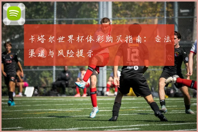 卡塔尔世界杯体彩购买指南：合法渠道与风险提示