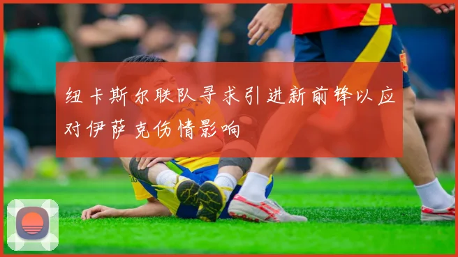 纽卡斯尔联队寻求引进新前锋以应对伊萨克伤情影响