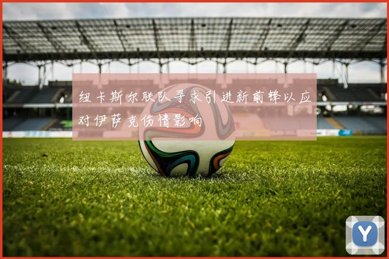 纽卡斯尔联队寻求引进新前锋以应对伊萨克伤情影响