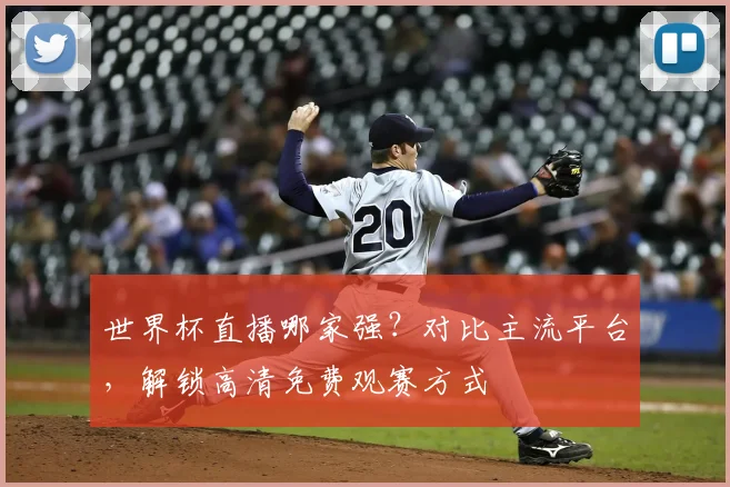 世界杯直播哪家强？对比主流平台，解锁高清免费观赛方式